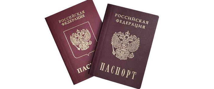программа носителей русского языка для получения гражданства